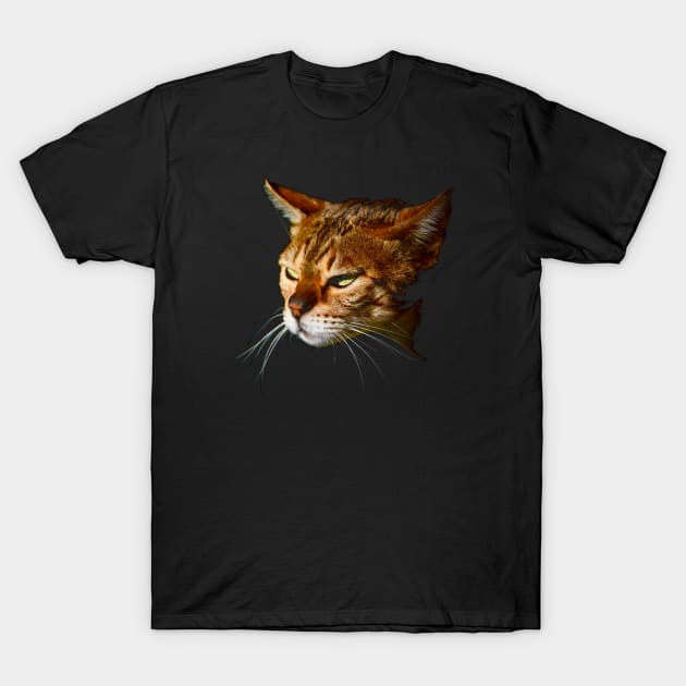 Bengal cat T-Shirt by Wolf Art / Swiss Artwork Photography